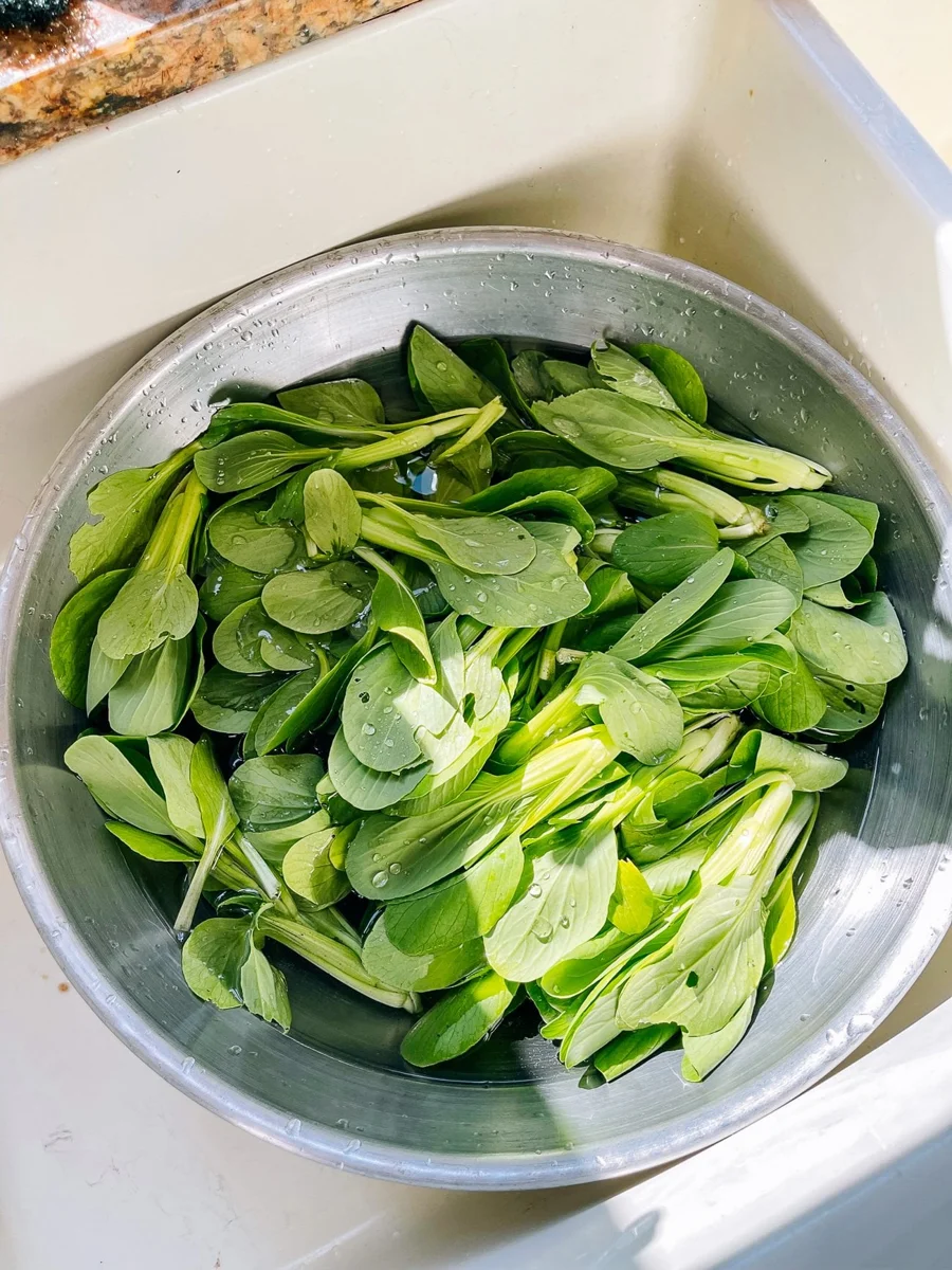 A hand lifting fresh leafy greens out of a large stainless steel bowl