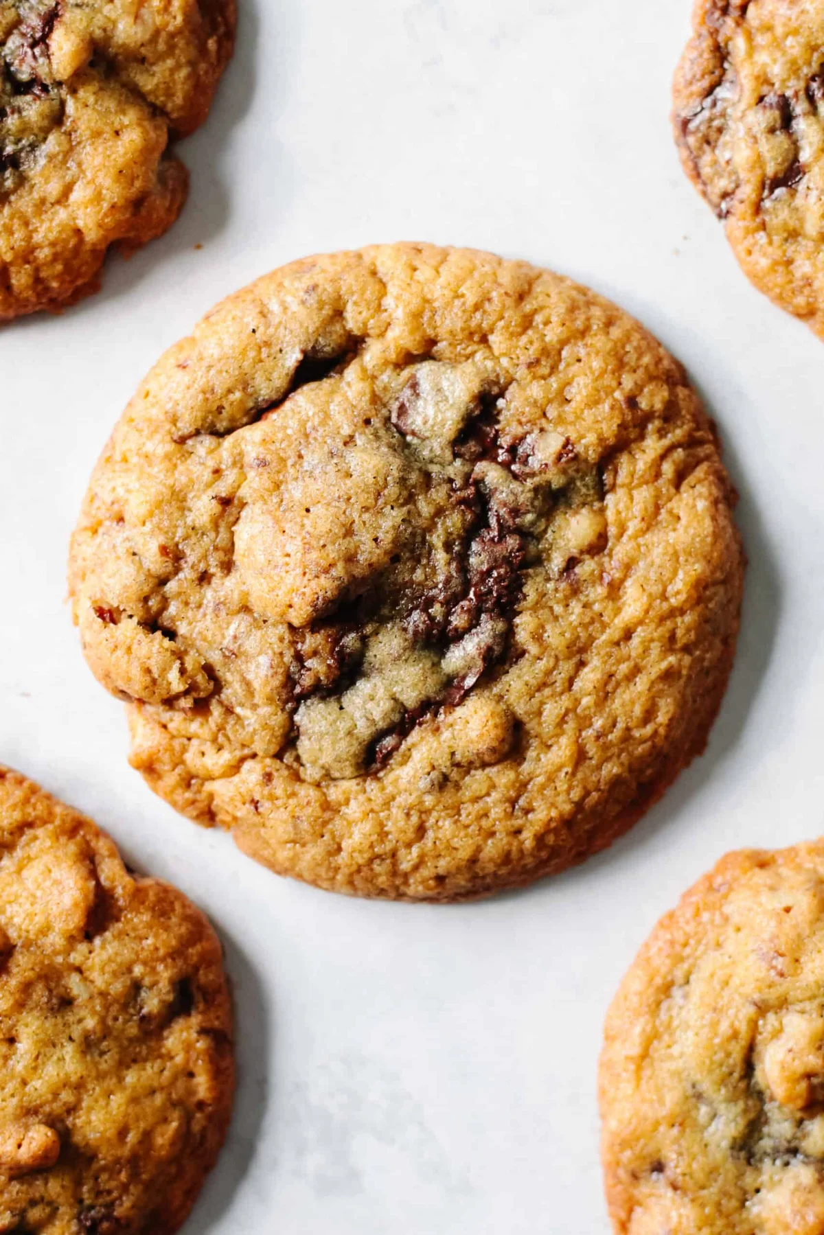 Freshly baked pecan chocolate chunk cookies cooling on a sheet
