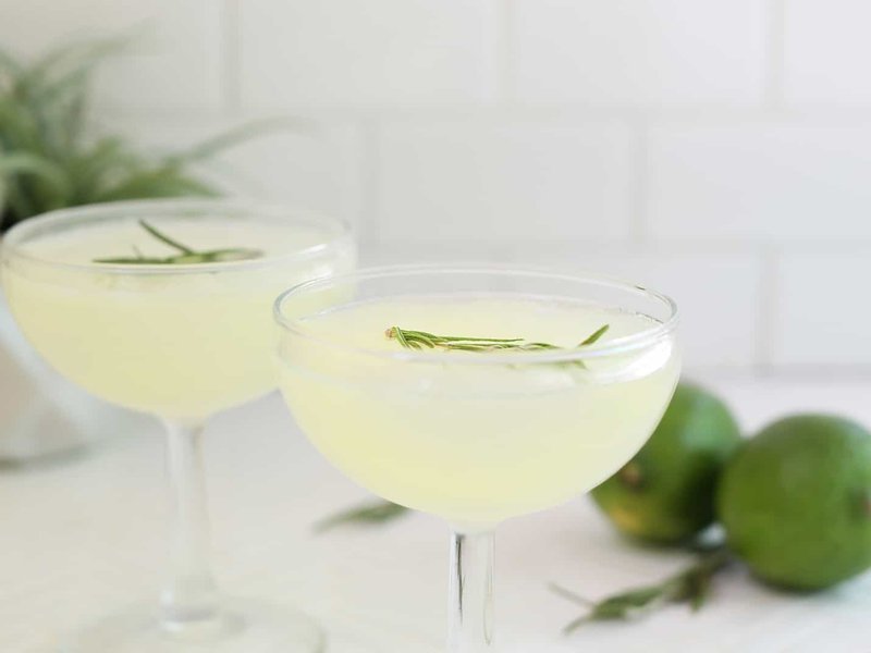 Pale green gimlet cocktails in a tumbler and coupe, garnished with cucumber and herbs